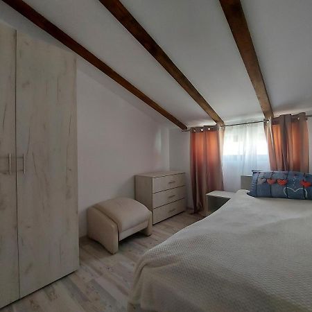 Jolie Art Apartment Braila Bagian luar foto