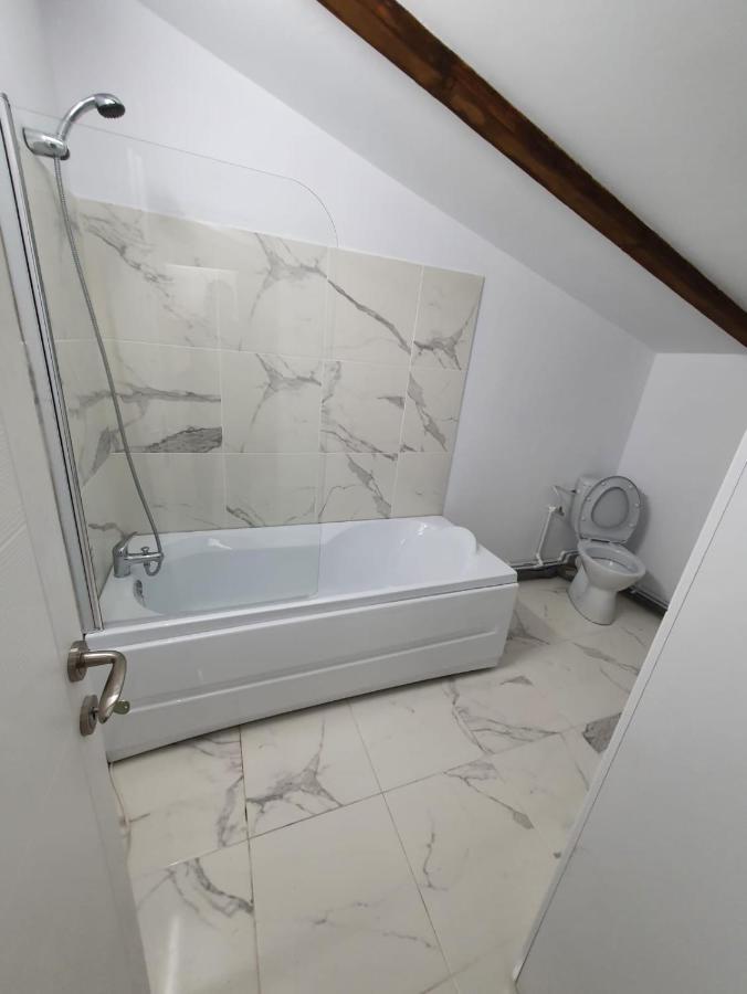 Jolie Art Apartment Braila Bagian luar foto
