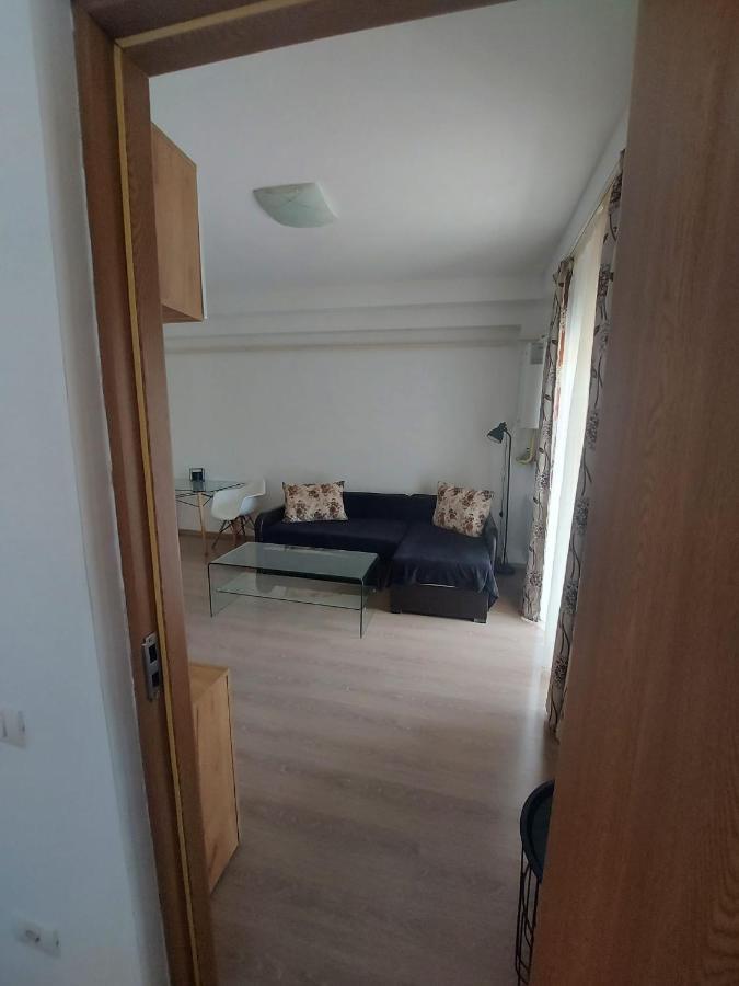 Jolie Art Apartment Braila Bagian luar foto