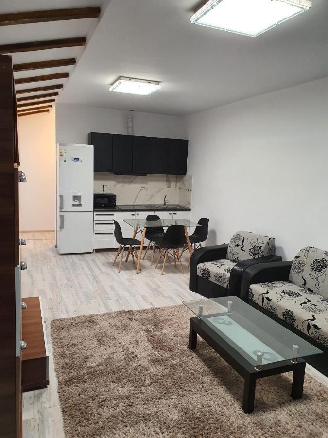 Jolie Art Apartment Braila Bagian luar foto